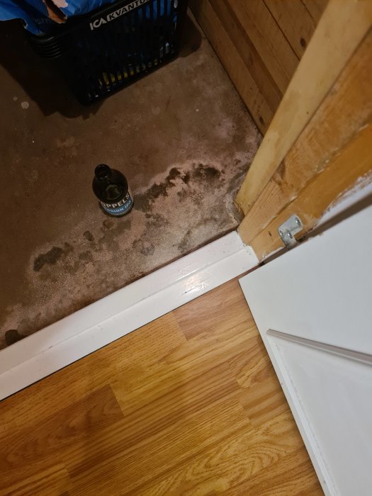 Mörka fuktfläckar på ett betonggolv i källare vid dörrtröskel, bredvid en plastkorg och en flaska.