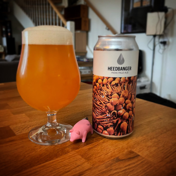Ölglas fyllt med orange öl, burk med text "HEEDBANGER India Pale Ale" och en liten rosa plastgris på ett träbord.