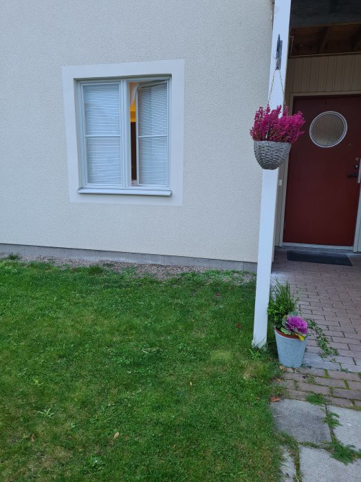 Gräsmatta framför hus med fönster, ampel med blommor och dörr med prydnadskruka.