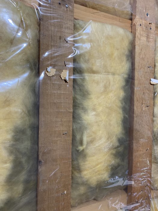 Öppet takbjälklag med synlig gulaktig isolering och ångspärr, potentiella tecken på fukt och smuts.