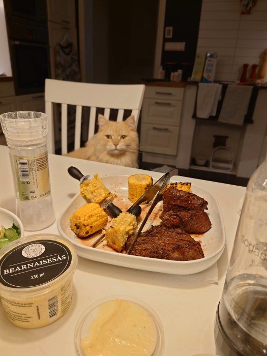 En katt sitter vid ett köksbord med grillat kött, majs på kobben och béarnaisesås.