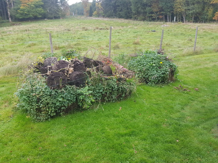 En nyanlagd komposthög med gräsklipp och löv inramad av stängsel på en gräsmatta, med skog i bakgrunden.