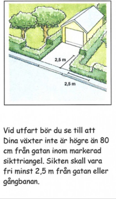 Illustration av sikttriangel vid utfart med mått och växtlighetsrestriktioner.