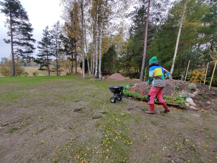 Person i arbetskläder och hjälm skjuter en skottkärra på nyutsädd gräsmatta med trädgårdsland och skog i bakgrunden.