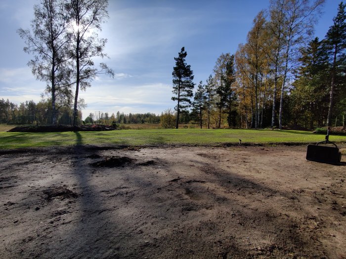 Nyutsädd gräsmatta med grön grässtrå och lerig byggarbetsplats i förgrunden med skogsbakgrund.