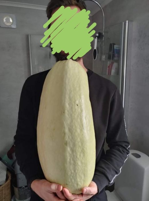 Person som bär en ovanligt stor zucchini, täcker hela överkroppen.