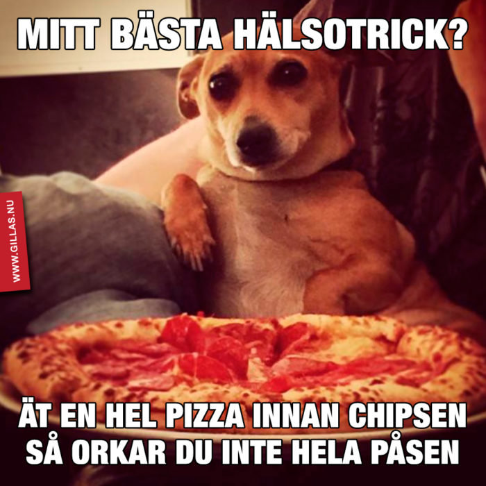 Hund som ser på kameran bakom text "Mitt bästa hälsotrick?" och pizza i förgrunden, humoristiskt budskap.