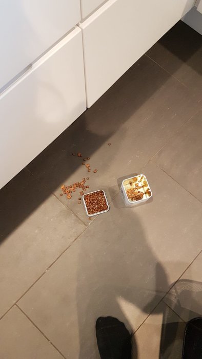 Kattgodis utspritt på golv bredvid en burk och skål med kattmat.