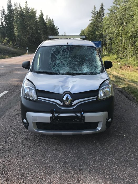 Renault Kangoo Maxi med kraftigt sprucken framruta parkerad vid vägkanten.