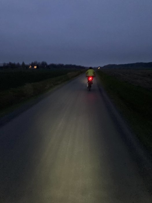 Cyklist med reflexväst och baklykta cyklar på en landsväg i skymningen.