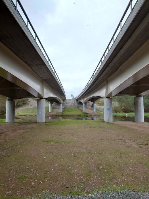 Två parallella vägbroar med betongpelare sett från marknivå.