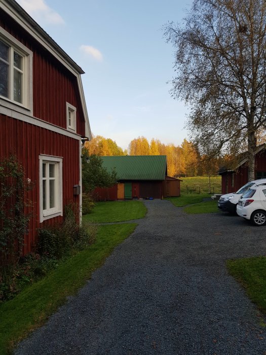 Trädgård med uppsamlade löv, grön gräsmatta och en röd trähusfasad, med en klar innan-bild.