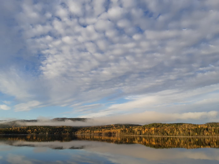 Spegelblank sjö med skog och dimma vid foten av ett berg under molnhimmel vid soluppgång.