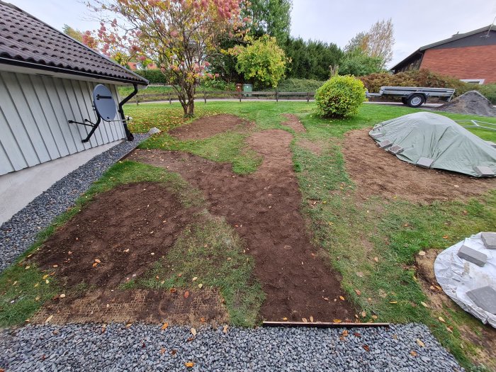 Nyberedd jord i trädgård med gräsmatta, omgivet av höstlöv och byggmaterial i bakgrunden.