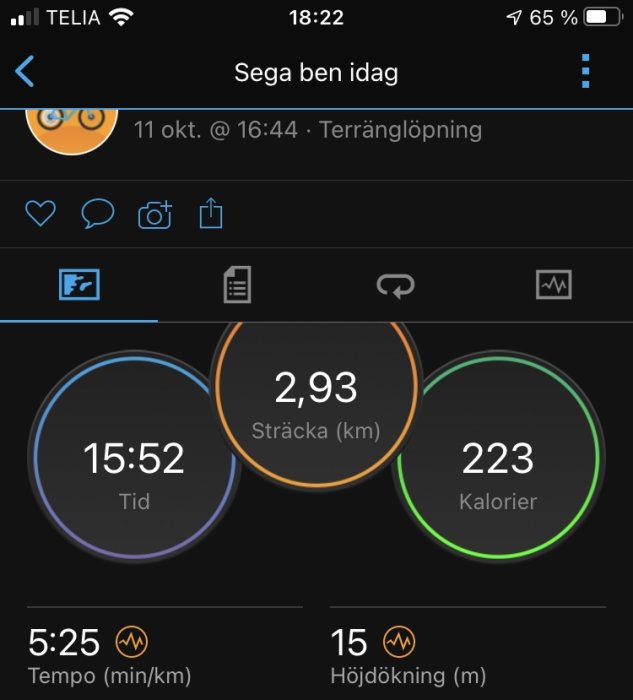 Skärmklipp från träningsapp visar löpdistans på 2,93 km, tid på 15:52 min, förbrända kalorier på 223, tempo och höjdstigning.