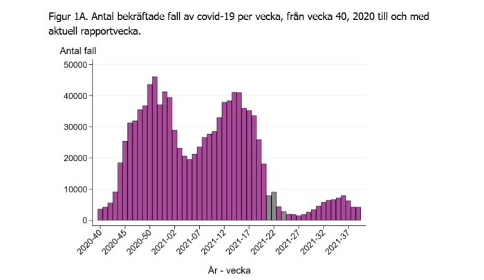 Stapeldiagram över bekräftade fall av covid-19 per vecka, minskning syns under de senaste veckorna.