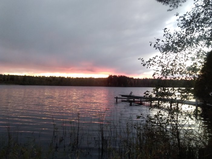 Solnedgång över stilla sjö med brygga och träd i förgrunden.