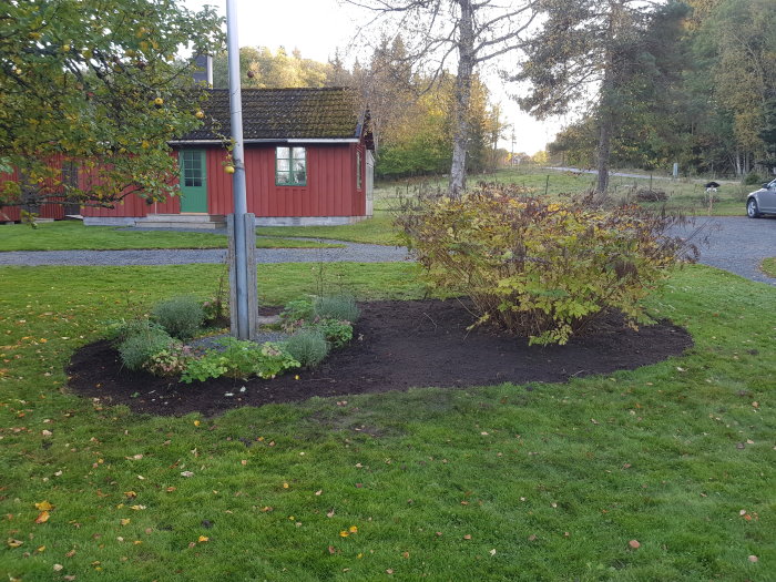 Nyanlagda rabatter med jord runt en flaggstång och spireabuske i en trädgård.