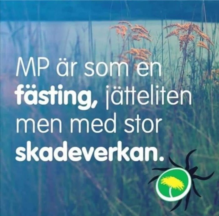 Naturbakgrund med texten "MP är som en fästing, jätteliten men med stor skadeverkan" och Miljöpartiets logotyp.