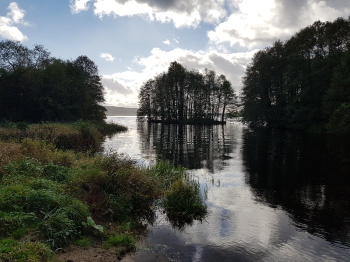 Mjukt ljus över en stilla sjö med spegling av träd och moln, omgivet av grönska.