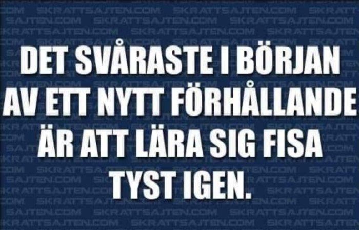 Textmem med citat: "Det svåraste i början av ett nytt förhållande är att lära sig fisa tyst igen.