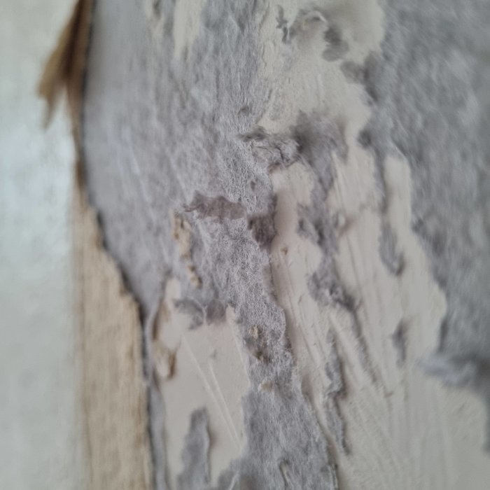 Närbild på vägg med bortriven tapet och synligt äldre isoleringsmaterial.