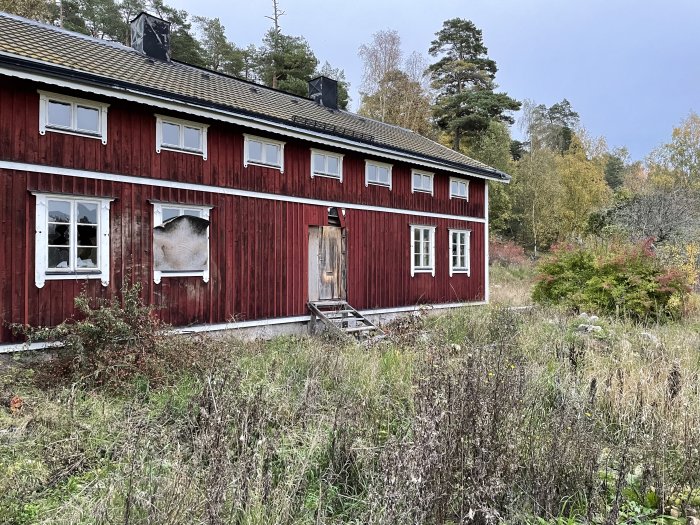 Rött trähus med vita knutar i landsbygdsmiljö med otätad fasad och synlig isolering.