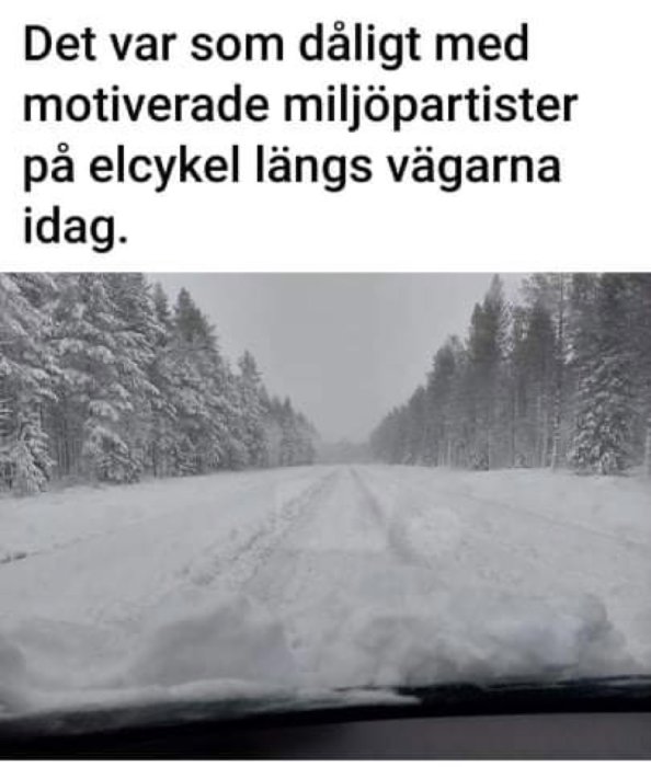 Snötäckt väg omgiven av snöklädda träd, ingen synlighet av miljöpartister eller elcyklar.