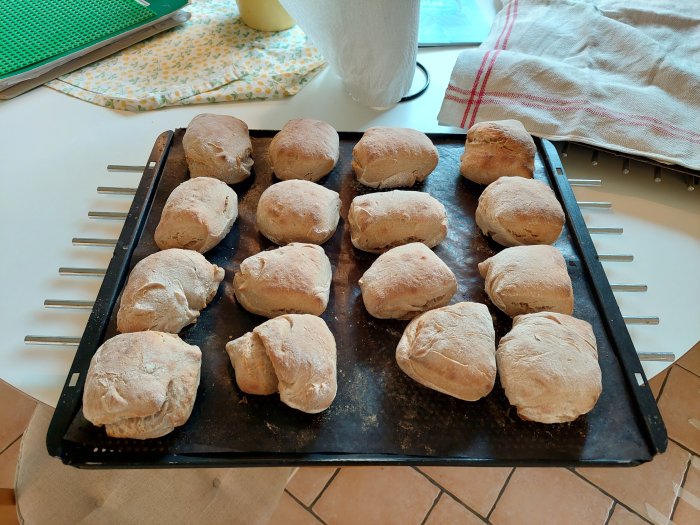 Hemgjorda surdegsbullar på en ugnspanna i ett kök, jämfört med misslyckade croissanter.