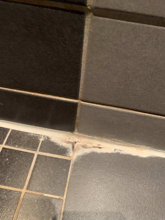 Mögelskador vid fogar mellan mörka kakelplattor och ljusare klinkergolv i duschutrymme.