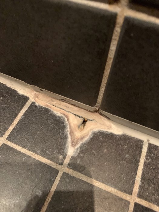 Slitet kakel och fog i dusch med synliga mögelskador och behov av renovering.