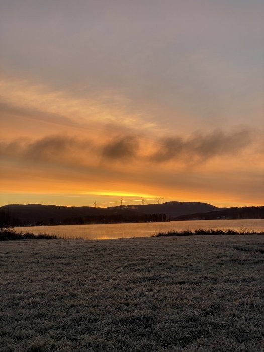 Soluppgång över en frostdraperad äng med sjö och siluetter av vindkraftverk i bakgrunden.