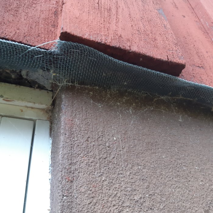 Fåglar tar bort isolering vid fasadens övergång till källarvägg med löst nät som försök till skydd.