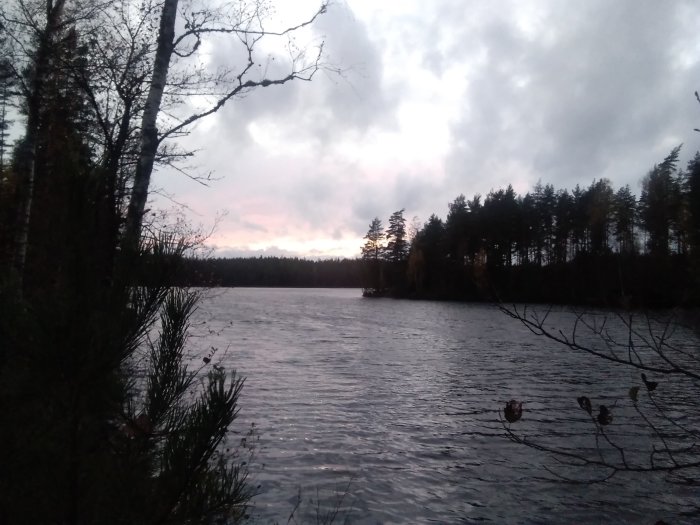 Utsikt över en sjö vid skymning med träd i silhuett och molntäckt himmel.