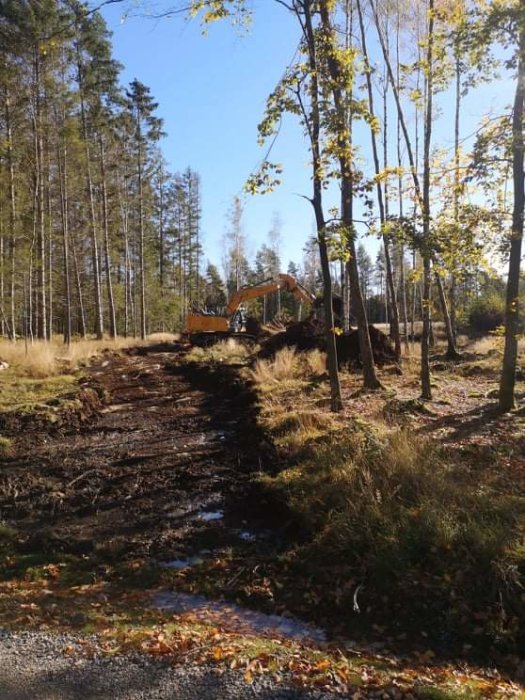 Orange grävmaskin i arbete vid förberedelse av tomt i skogsmiljö för husbygge.