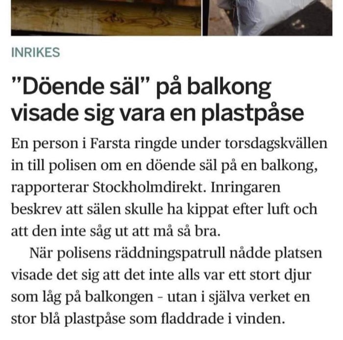 Artikel i tidning om misstag mellan en döende säl och en blå plastpåse som fladdrar på en balkong.