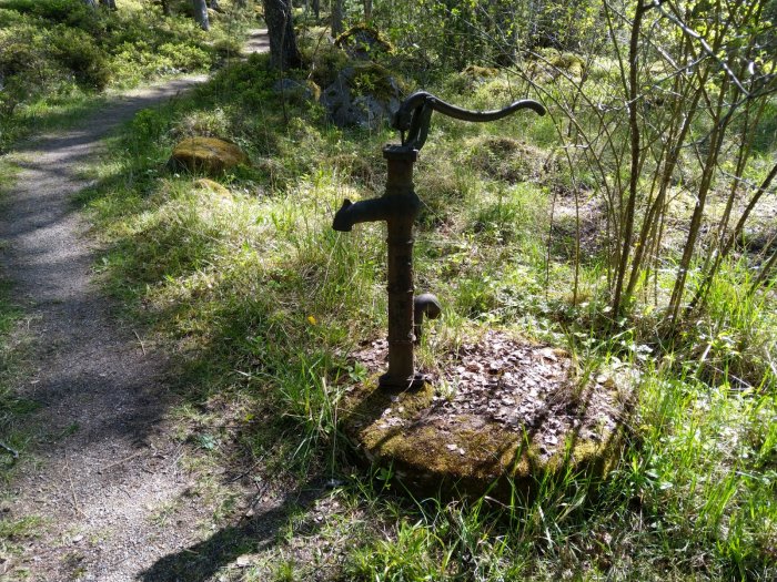 Gammaldags handpump för vatten placerad på en sten i ett skogsparti med stig och grönska runtomkring.