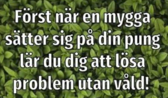 Text på bild över lövverk med citatet: "Först när en mygga sätter sig på din pung lär du dig att lösa problem utan våld!