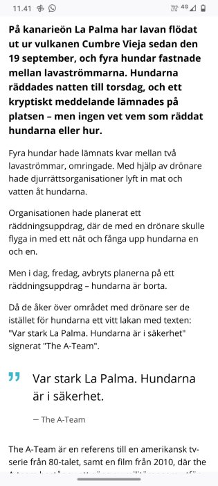 Skärmdump av en nyhetsartikel om räddade hundar på La Palma med ett vitt lakan med texten "Var stark La Palma. Hundarna är i säkerhet".