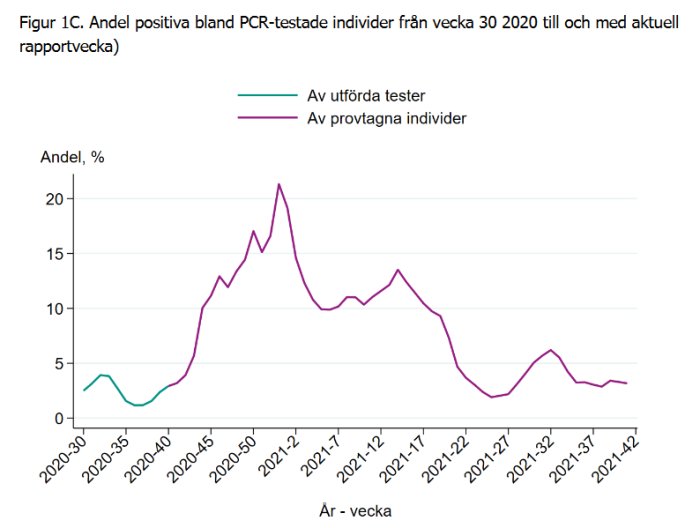 Graf som visar andelen positiva PCR-tester från vecka 30, 2020 till vecka 42.