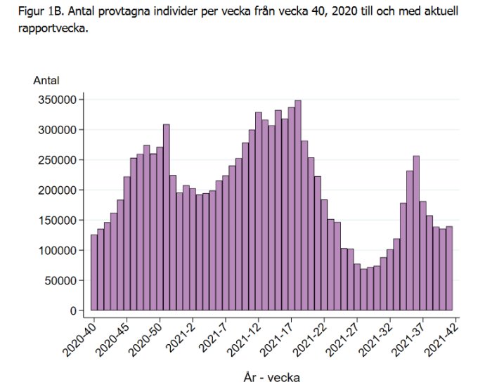 Histogram visar antalet provtagna individer per vecka från vecka 40, 2020 till aktuell rapportvecka.