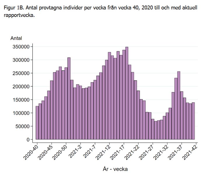 Histogram över antal testade individer per vecka från 2020 vecka 40 till aktuell rapportvecka.