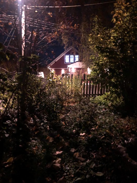 Ett hus med tända fönster sedd genom en trädgård på natten.
