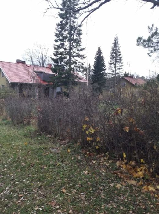 Hus med synlig taknock som ser ojämn ut, omgivet av träd och buskar, under mulen himmel.