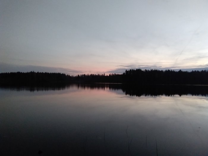 Skymning med rosa himmel speglad i en skogstjärn.