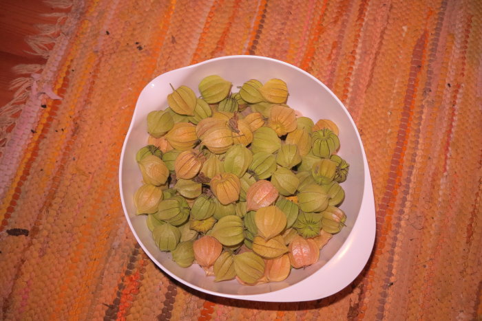 Skål med mogen och omogen physalis på ett orange virkat underlag.