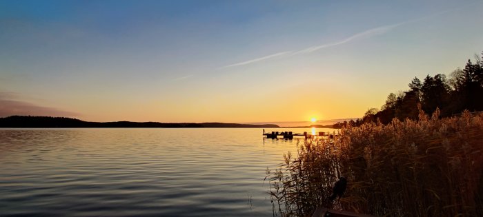 Solnedgång över en stilla sjö med brygga och vass i förgrunden.