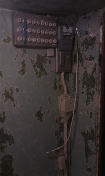 IMAG0228 (Medium).jpg