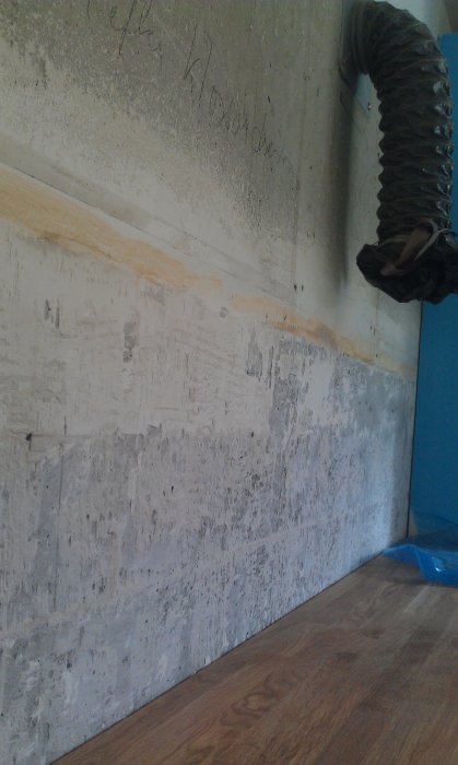 IMAG0294.jpg