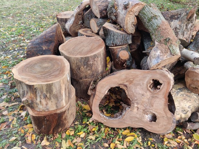 En hög med uppsågade almkubbar i olika storlekar för snickeriprojekt, uppemot 50 cm i diameter.